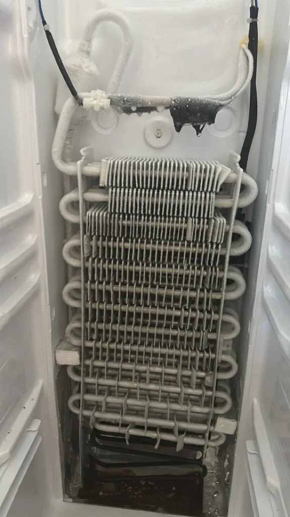 Evaporator coil of a Bosch refrigerator that was not cooling