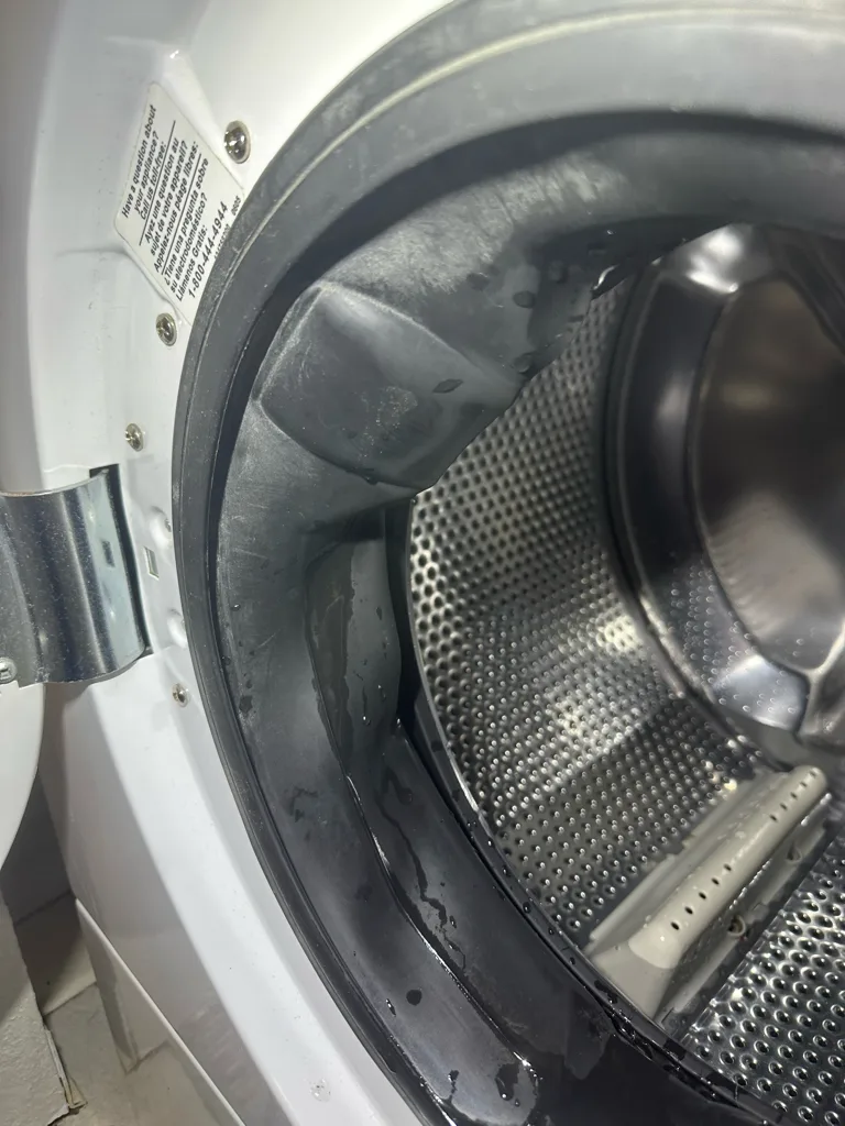 Door seal and drum of a Frigidaire front-load washer