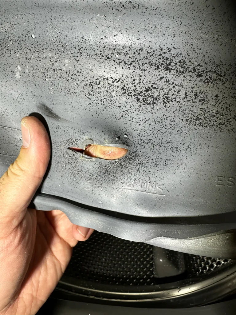 Torn door boot seal on a Maytag front-load washer
