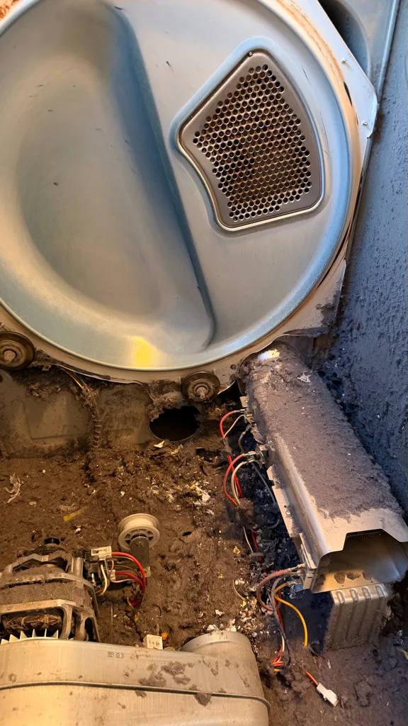 Lint built up inside the cabinet of a Samsung dryer around the heater housing