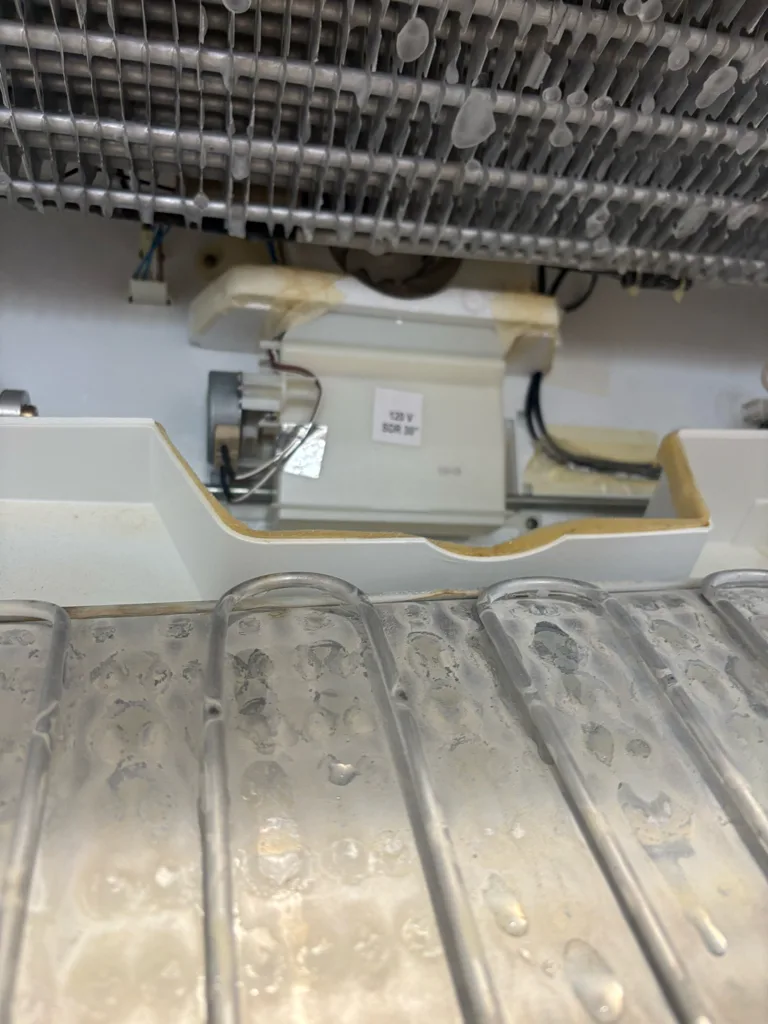Frost on the evaporator of a Thermador refrigerator